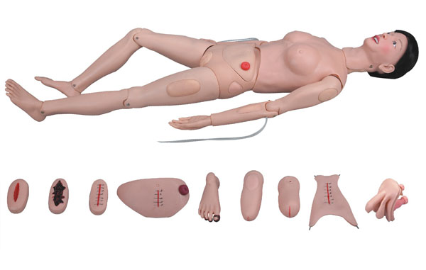 上?？等?高級(jí)全功能護(hù)理人訓(xùn)練模型（女性） KAR/2200